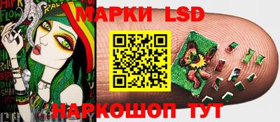 гидра Пенза