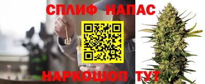 гидра Пенза