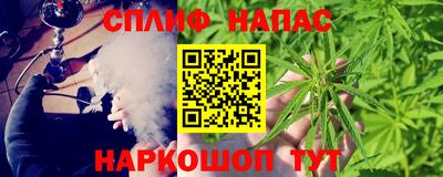 гидра Пенза