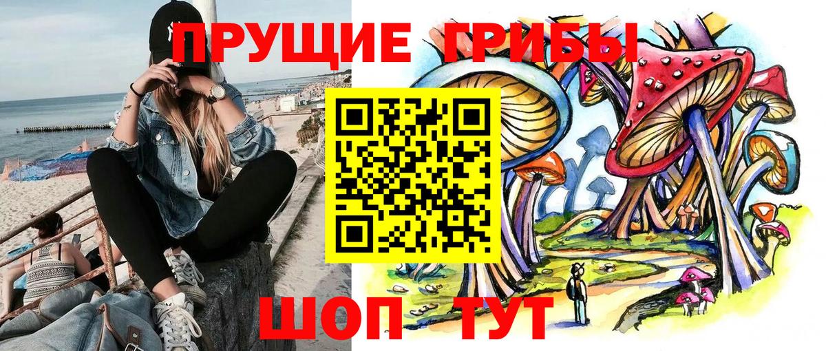 Галлюциногенные грибы Psilocybe  Вход с VPN  Галлюциногенные грибы Magic Shrooms  наркошоп  Белореченск 